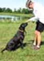 Payton and Sammie